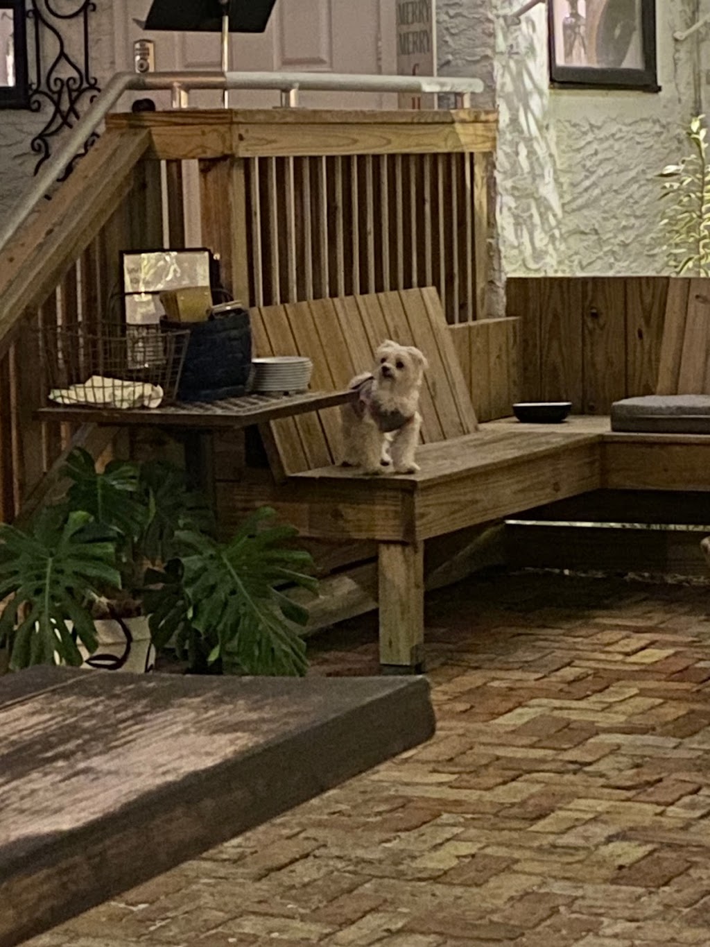 Sims House | restaurant | 322 Center St, Jupiter, FL 33458, USA | 5614314336 OR +1 561-431-4336