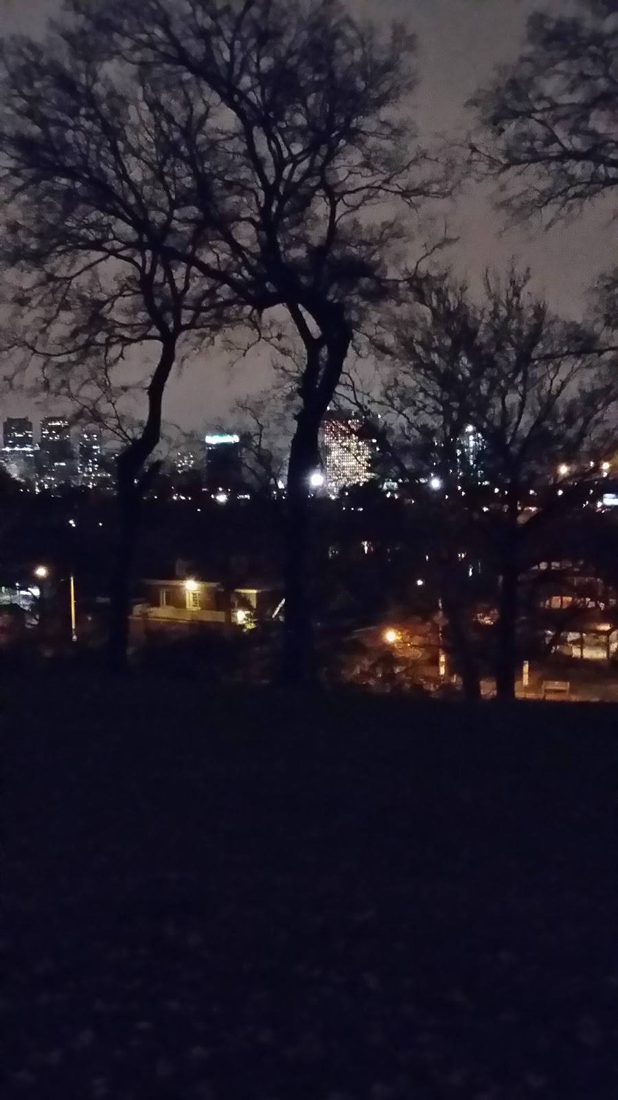 Great Wall Chinese Food | restaurant | 1801 Moore St, Philadelphia, PA 19145, USA | 2153367105 OR +1 215-336-7105