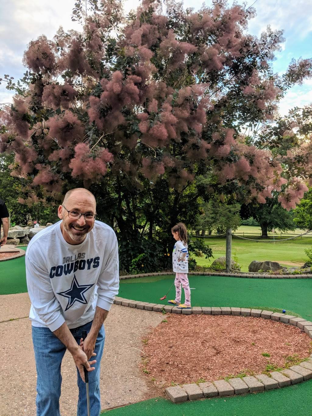 Fenway Golf | meal takeaway | 112 Allen St, East Longmeadow, MA 01028, USA | 4135254444 OR +1 413-525-4444