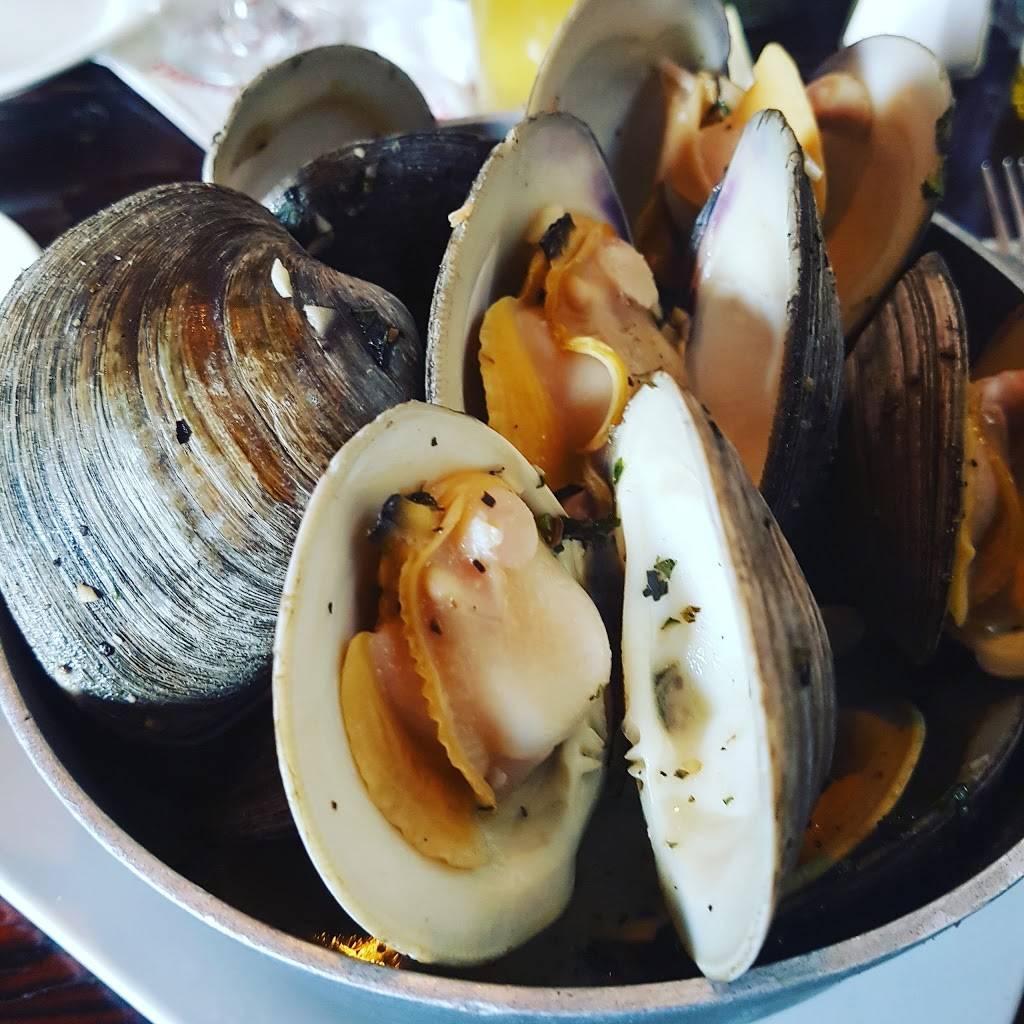 The Ark Pub & Eatery | restaurant | New Jersey 35, 401 Sea Ave, Point Pleasant Beach, NJ 08742, USA | 7322951122 OR +1 732-295-1122