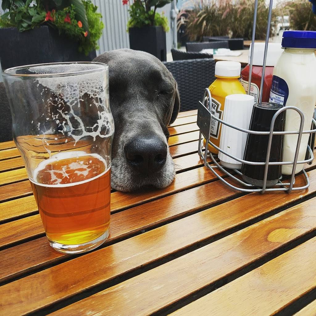 OTooles Public House | restaurant | 448 Bridge St NW, Grand Rapids, MI 49504, USA | 6167426095 OR +1 616-742-6095