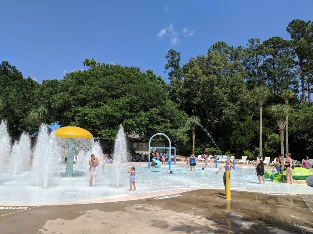 Palmetto Islands County Park | meal takeaway | 444 Needlerush Pkwy, Mt Pleasant, SC 29464, USA | 8437954386 OR +1 843-795-4386