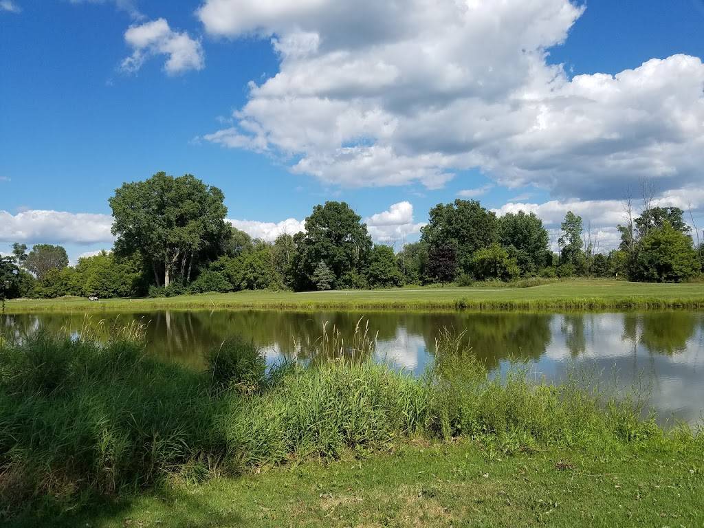 Reddeman Farms Restaurant | restaurant | 555 S Dancer Rd, Chelsea, MI 48118, USA | 7344754655 OR +1 734-475-4655