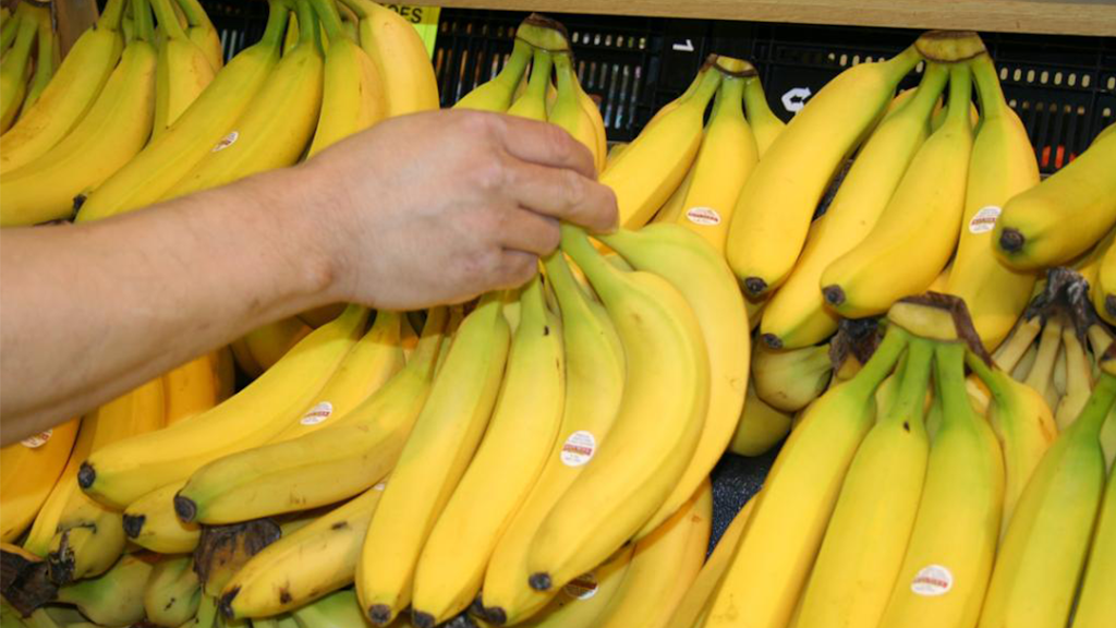 CHiPPiES Store | meal takeaway | 4839 SW 148th Ave #454, Southwest Ranches, FL 33330, USA | 8775929939 OR +1 877-592-9939