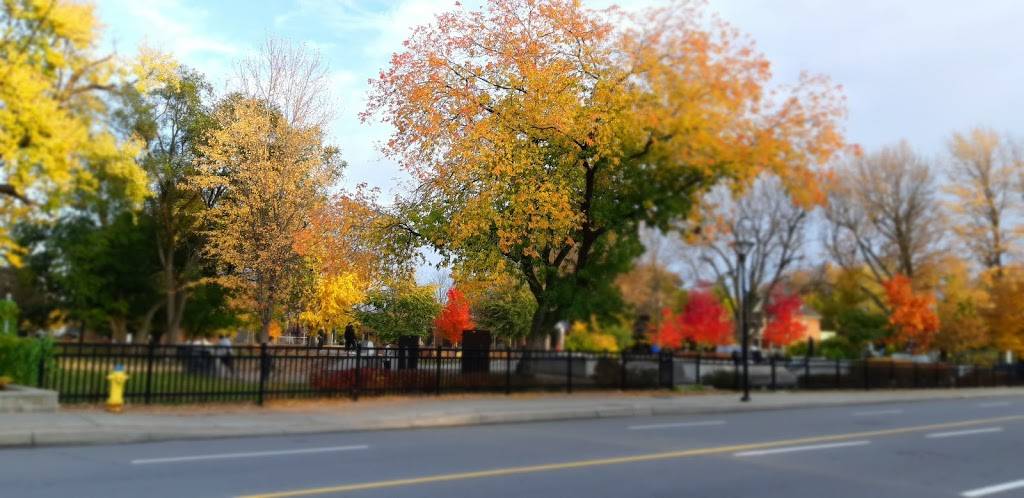 Bronson Pizza | restaurant | 370 Bronson Ave, Ottawa, ON K1R 6J3, Canada | 6132383800 OR +1 613-238-3800