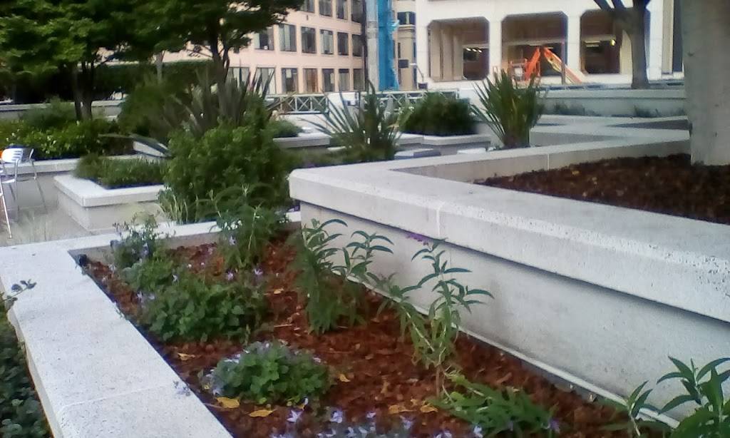 Sausalito Cafe | cafe | 100 1st St, San Francisco, CA 94105, USA | 4152229922 OR +1 415-222-9922