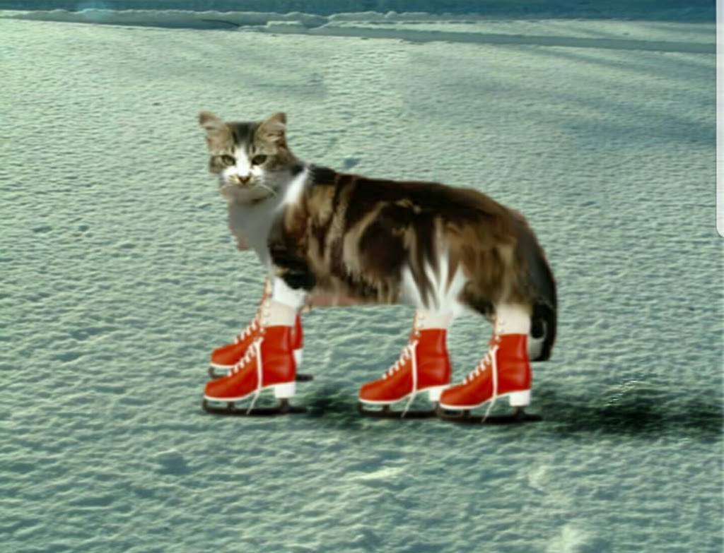 Burger King | restaurant | 3601 SE 14th St, Des Moines, IA 50320, USA | 5152877515 OR +1 515-287-7515