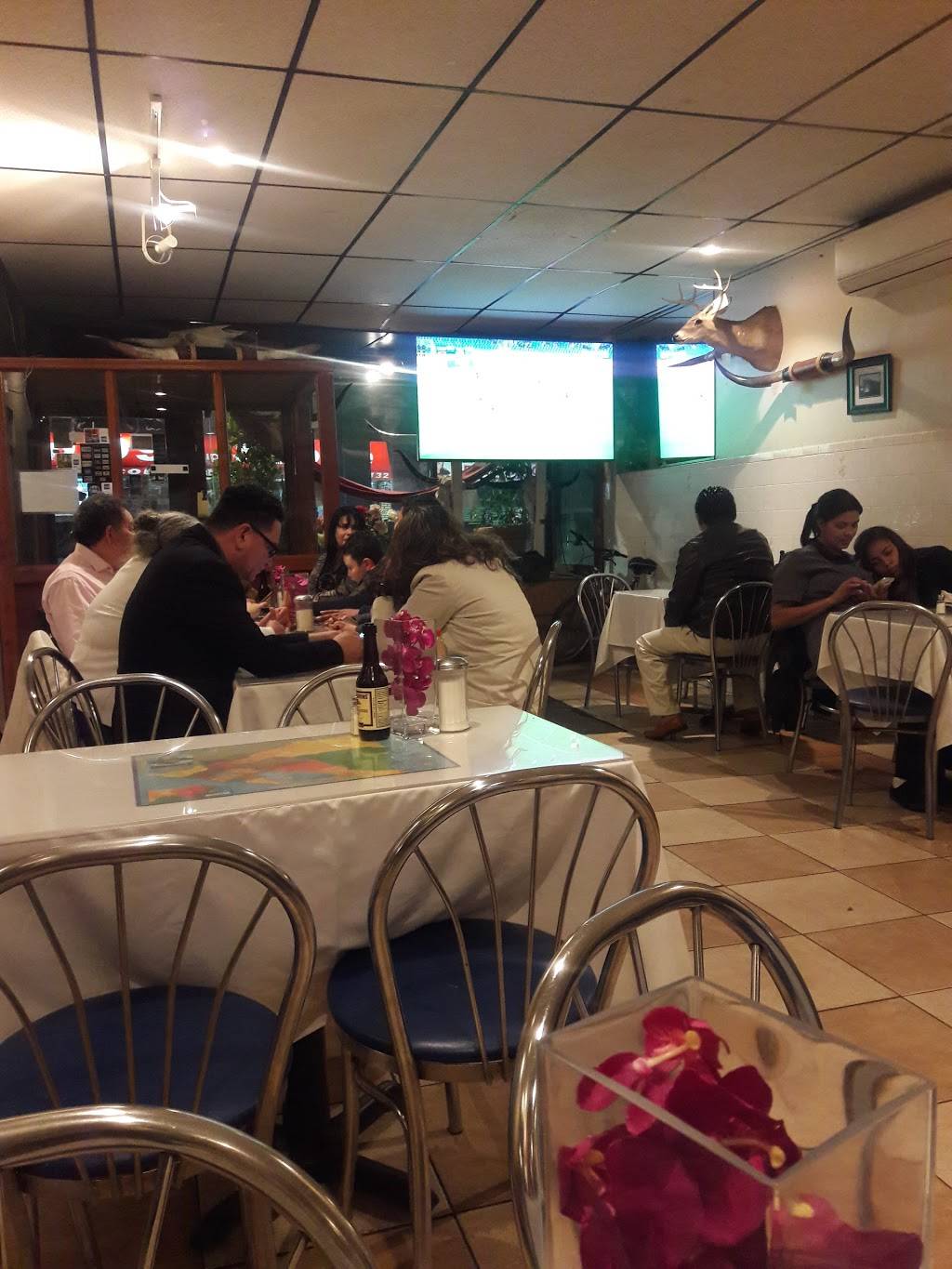 El Pulgarcito de America | restaurant | 3133 Fulton St, Brooklyn, NY 11208, USA | 7186477762 OR +1 718-647-7762