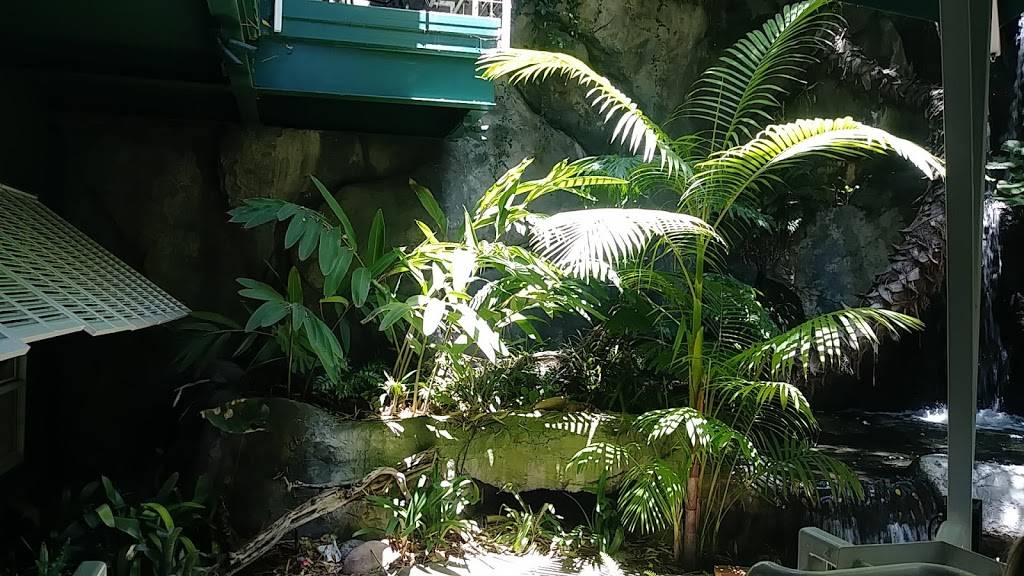 Alberts Restaurant | restaurant | 2920 Zoo Dr, San Diego, CA 92101, USA | 6196853200 OR +1 619-685-3200