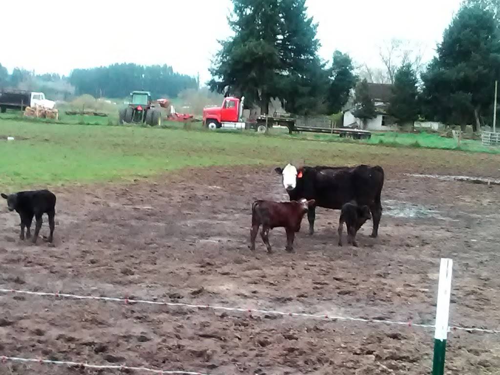 Osborn Dairy | restaurant | 1021 WA-6, Chehalis, WA 98532, USA | 3607487000 OR +1 360-748-7000