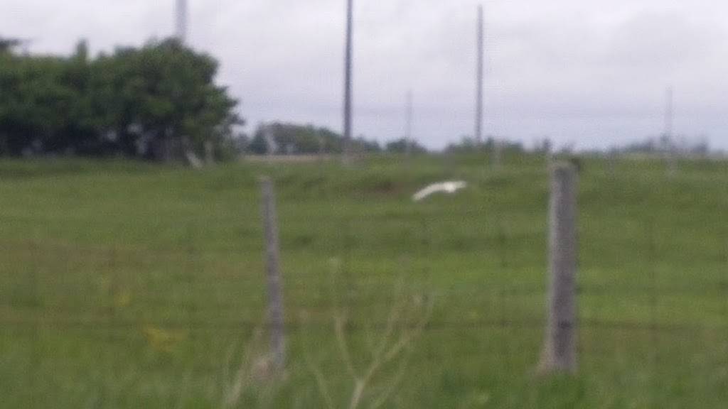 Sunrise Motel & Restaurant | restaurant | 3972 ON-21, Port Elgin, ON N0H 2C5, Canada | 5193682020 OR +1 519-368-2020