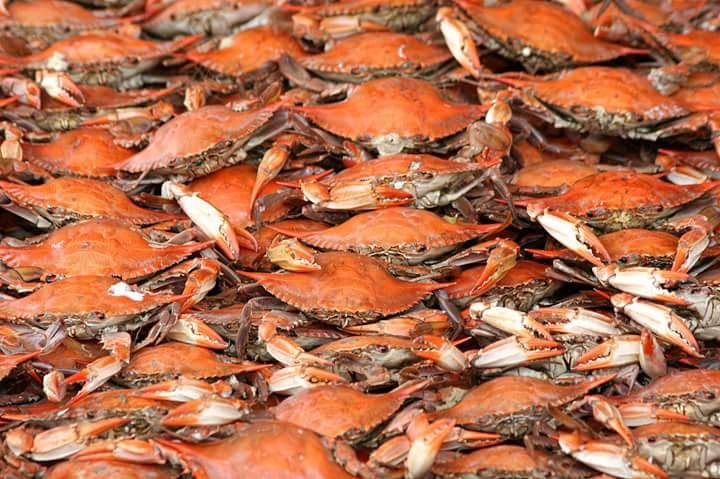 Seven Seas | restaurant | 4725 N 5th St, Philadelphia, PA 19120, USA | 2154571836 OR +1 215-457-1836