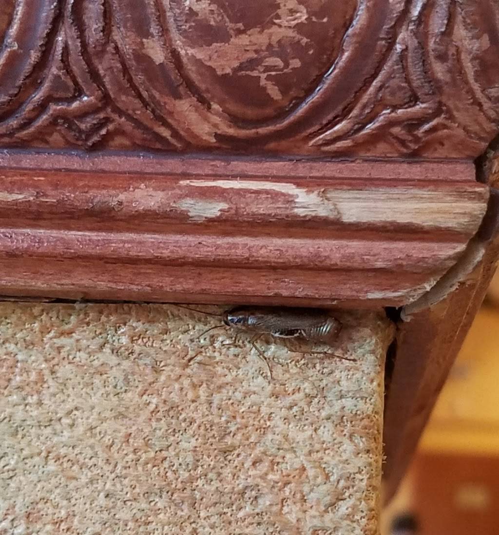 Subway | restaurant | 254 Merrimack St, Lowell, MA 01852, USA | 9789349122 OR +1 978-934-9122