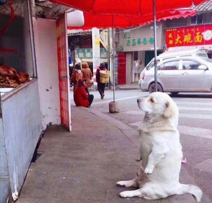 Sushi Yun | restaurant | 3505 E Chapman Ave, Orange, CA 92869, USA | 7147440008 OR +1 714-744-0008