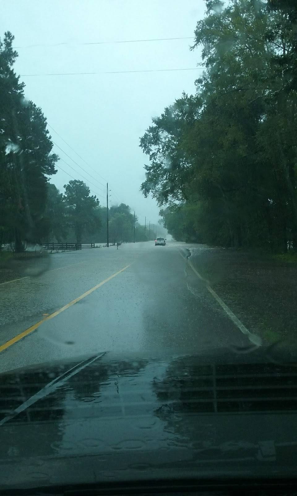 Piney Woods Mart | restaurant | 11845 Calvary Rd, Willis, TX 77318, USA | 9367014090 OR +1 936-701-4090