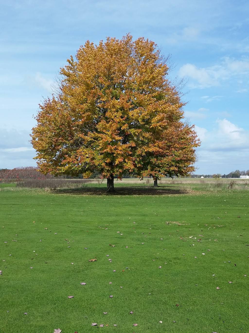 Indian Run Golf Club | restaurant | 6359 Rs Ave E, Scotts, MI 49088, USA | 2693271327 OR +1 269-327-1327