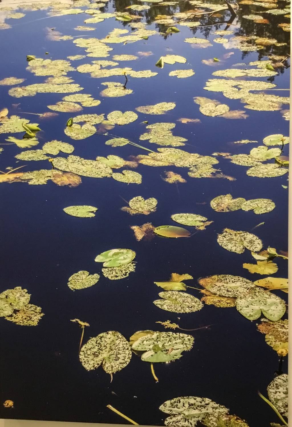 Bird in the Hand | restaurant | 1845 Palm Beach Lakes Blvd, West Palm Beach, FL 33401, USA | 5614713831 OR +1 561-471-3831