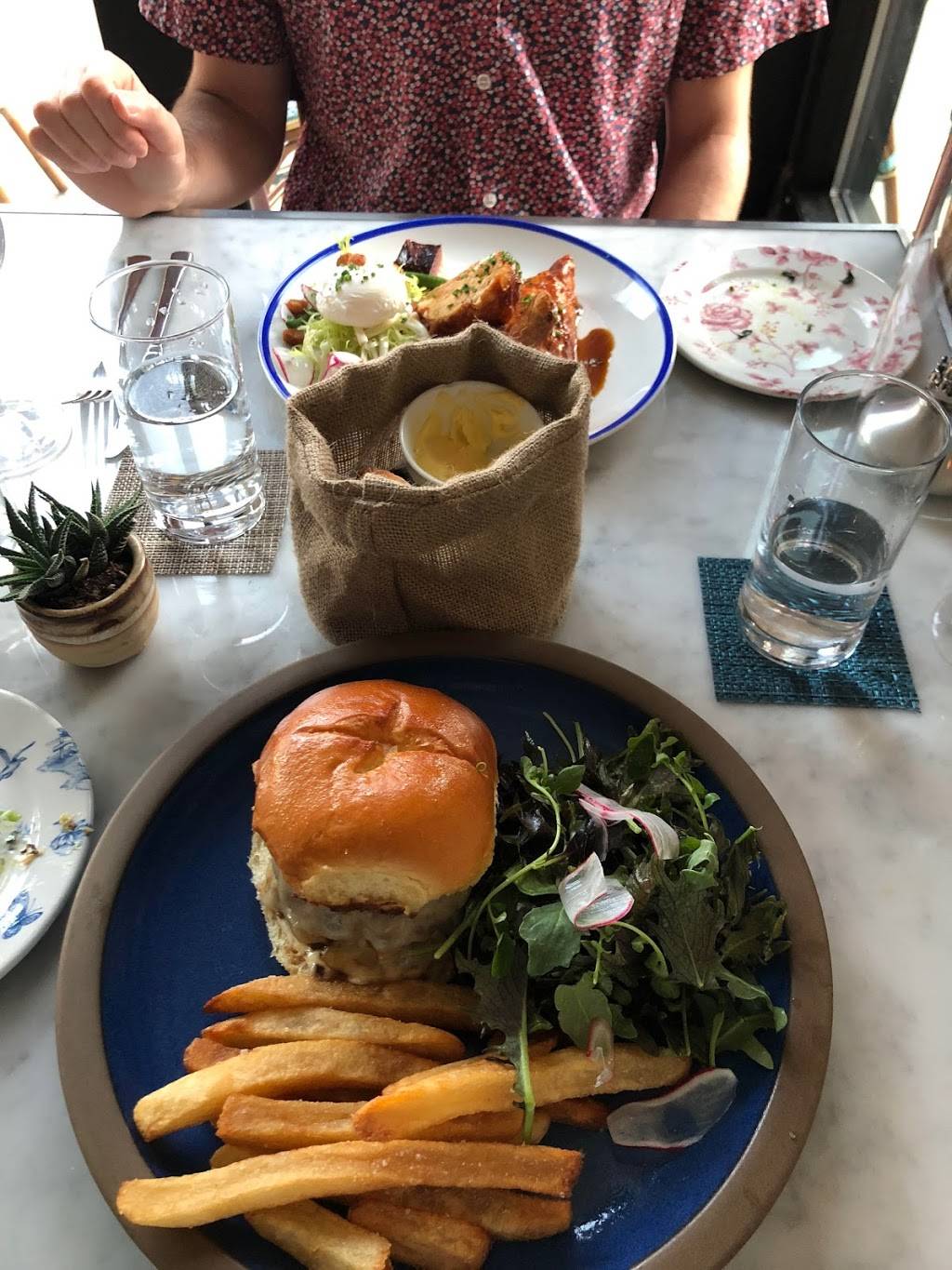 Primrose | restaurant | 3000 12th St NE, Washington, DC 20017, USA | 2022484558 OR +1 202-248-4558