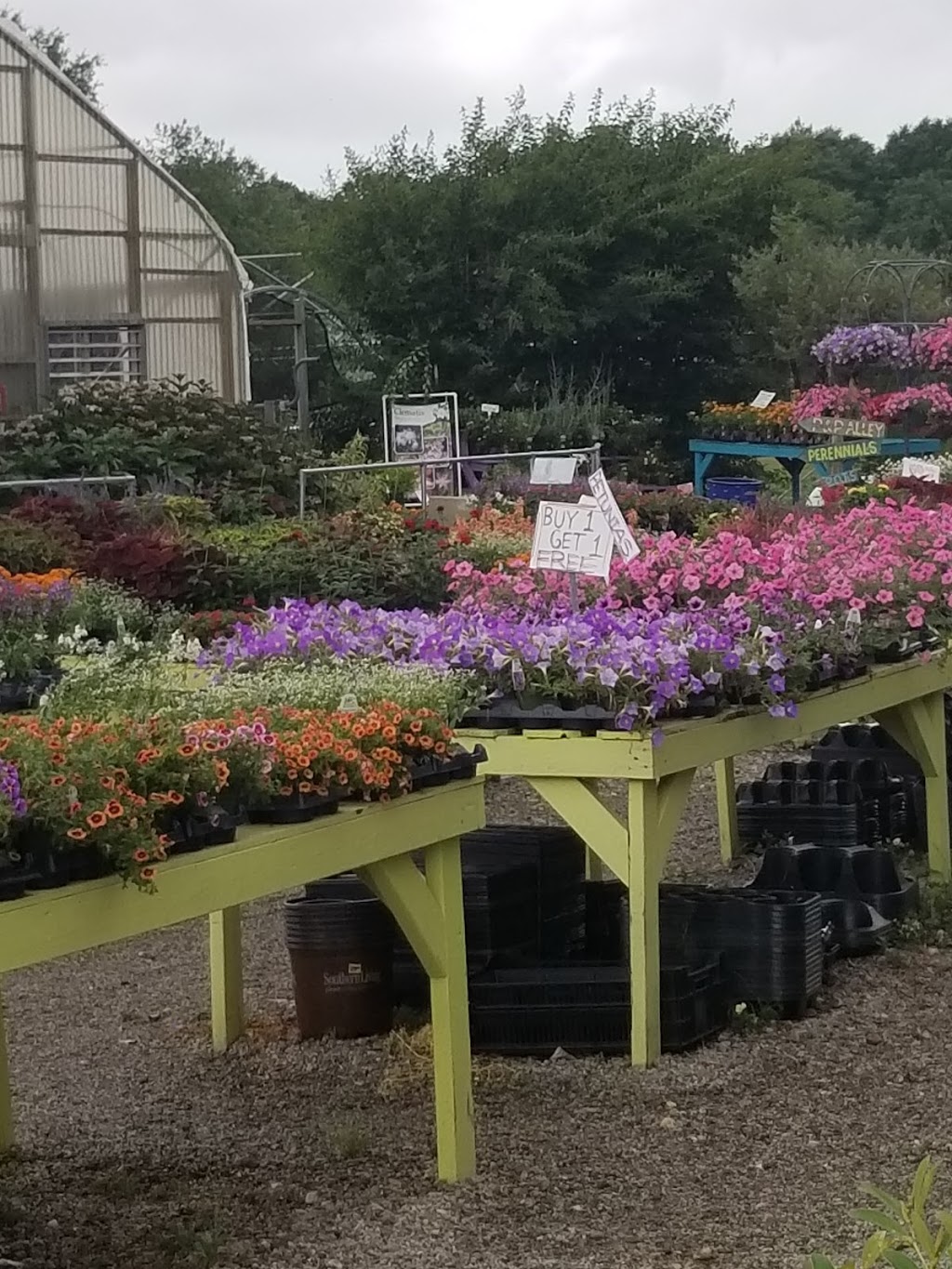 Farm 441 @ Thomas Orchards | restaurant | 6091 Macon Hwy, Bishop, GA 30621, USA | 7067695011 OR +1 706-769-5011