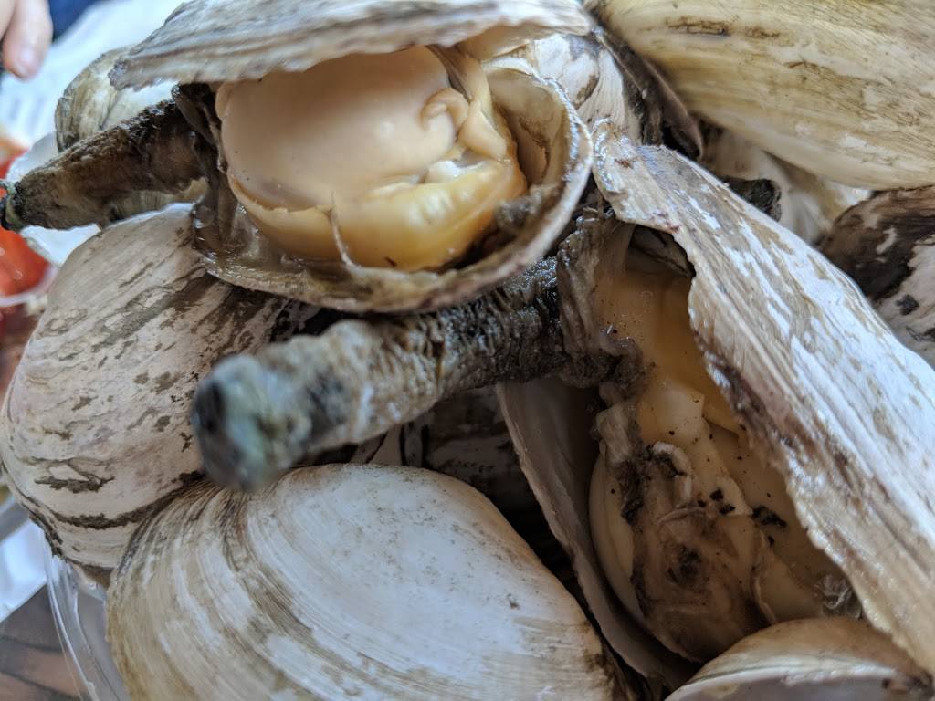 Jeremys Ale House | restaurant | 239 Woodcleft Ave, Freeport, NY 11520, USA | 5166230204 OR +1 516-623-0204