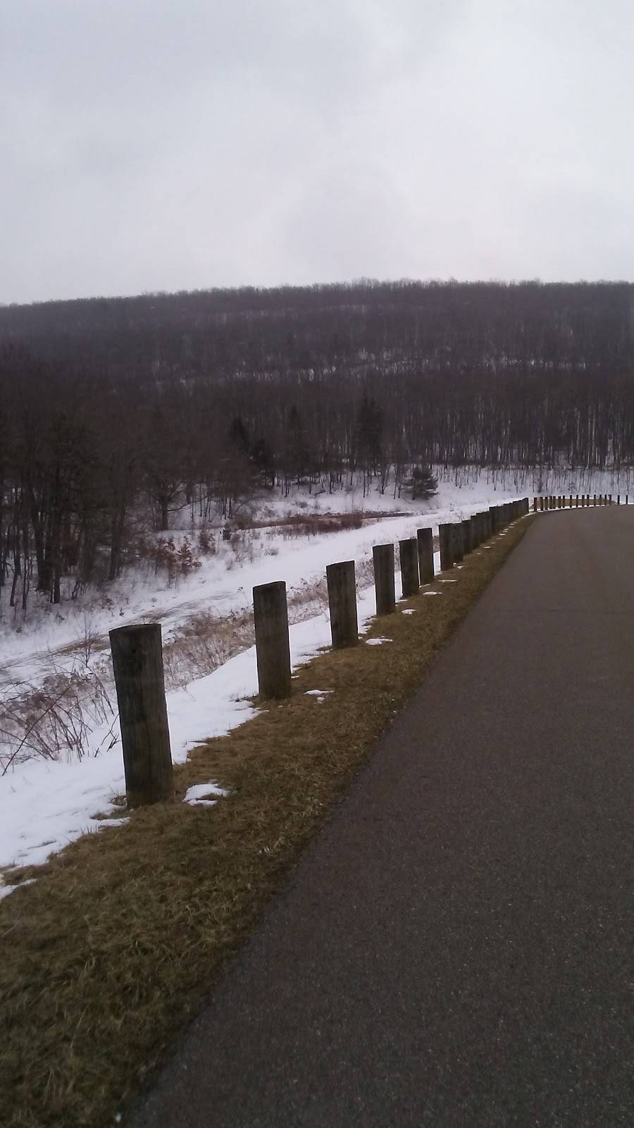 Locust Valley Bar & Grill | restaurant | 151 Locust Lake Rd, Barnesville, PA 18214, USA | 5704672361 OR +1 570-467-2361