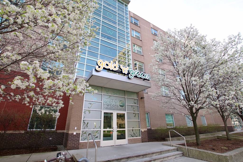 Gold n Greens | restaurant | 695 Williams Mall, Detroit, MI 48202, USA | 3135774200 OR +1 313-577-4200