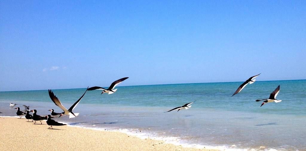 Long Doggers | restaurant | 4260 Minton Rd, Melbourne, FL 32904, USA | 3219518884 OR +1 321-951-8884