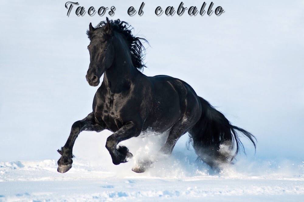 Tacos el Caballo | restaurant | 1445 Springwells St, Detroit, MI 48209, USA | 3139898426 OR +1 313-989-8426