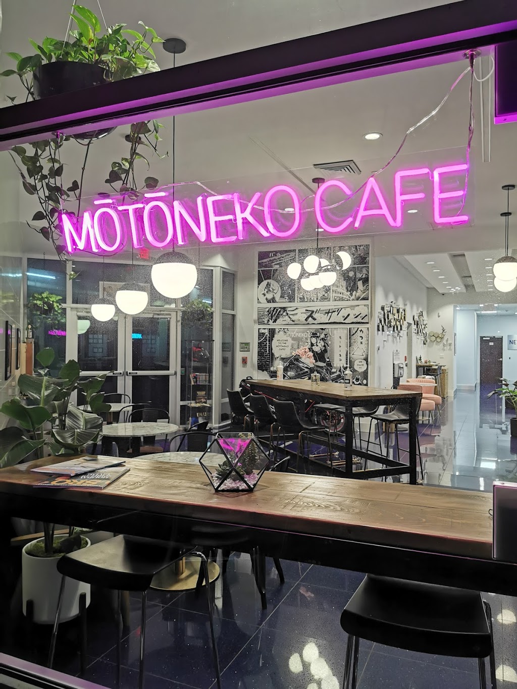 Motoneko Cafe & Izakaya | cafe | 1680 Fruitville Rd 1st floor, Sarasota, FL 34236, USA | 9417024589 OR +1 941-702-4589