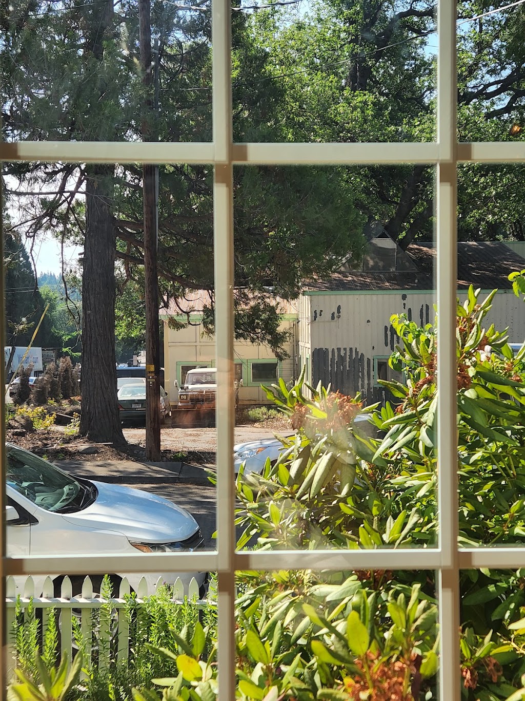 Lilys Restaurant | restaurant | 1013 S Mt Shasta Blvd, Mt Shasta, CA 96067, USA | 5309263372 OR +1 530-926-3372