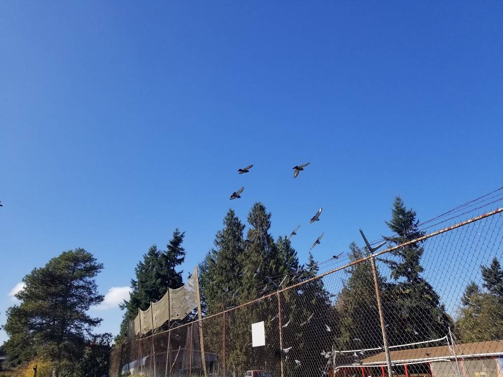 El Gallo De Oro | restaurant | 3201 Portland Ave E, Tacoma, WA 98404, USA | 2533838095 OR +1 253-383-8095