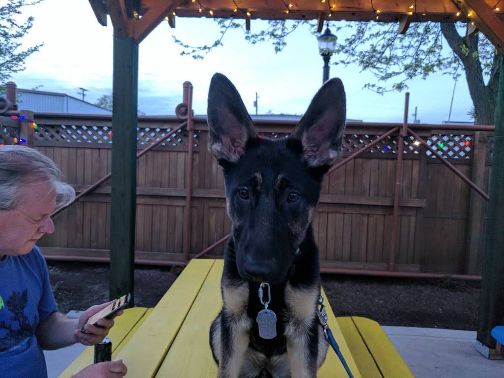 Pedal City | restaurant | 1215 W Main St, Fort Wayne, IN 46808, USA | 2604156167 OR +1 260-415-6167