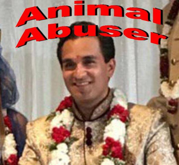 Freshii | restaurant | 1 Yonge St, Toronto, ON M5E 1W7, Canada | 6478124074 OR +1 647-812-4074