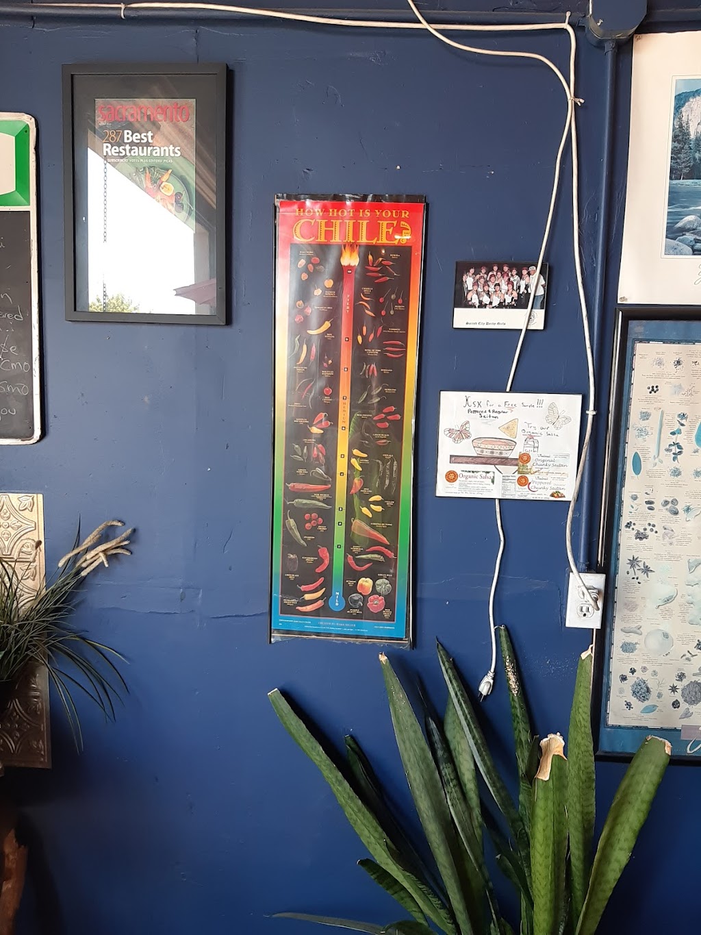 Emmas Tamales | restaurant | Sacramento, CA 95824, USA | 9163876324 OR +1 916-387-6324