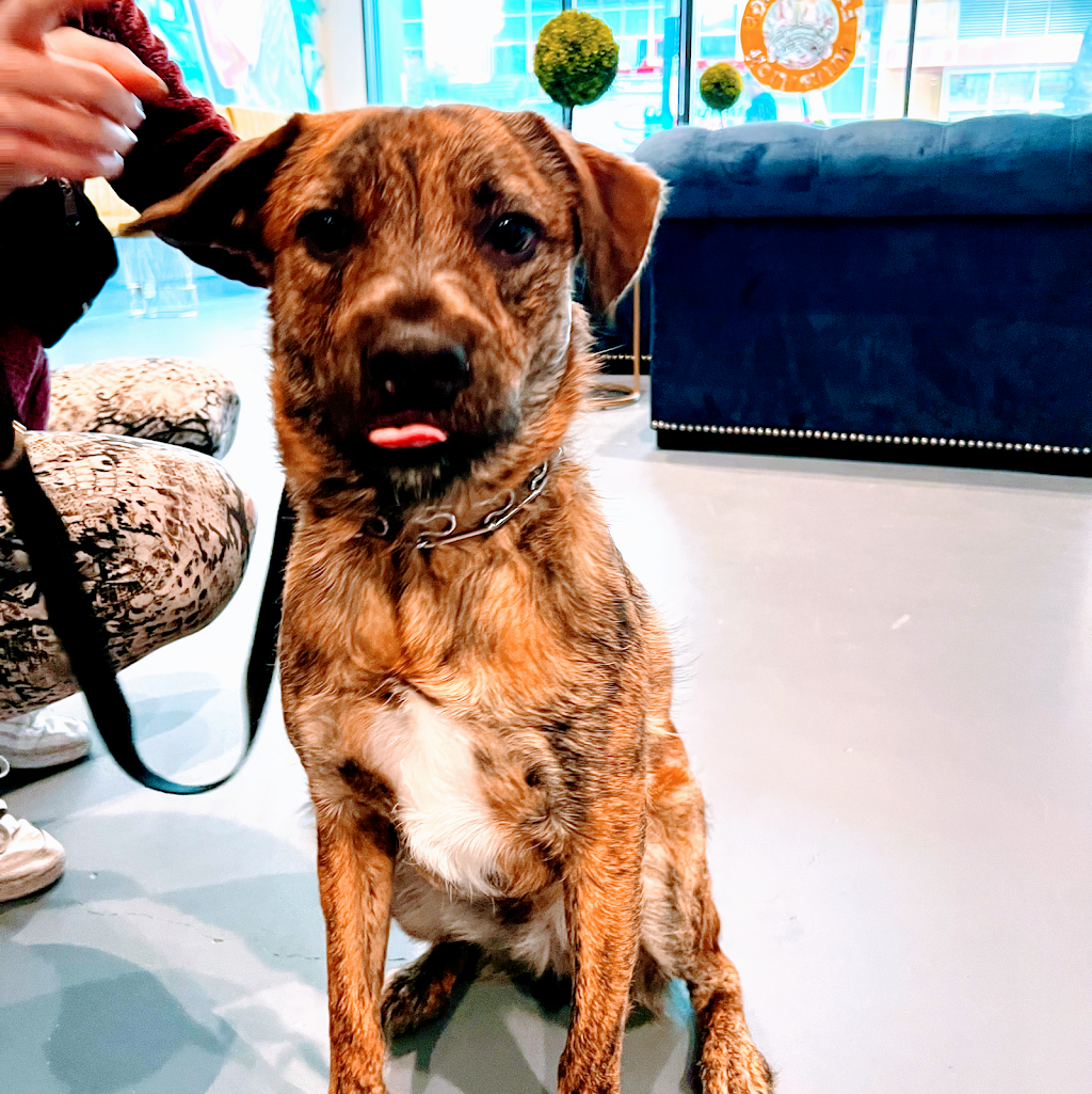 East Village Nutrition | restaurant | 304 11th Ave, San Diego, CA 92101, USA | 6194848877 OR +1 619-484-8877