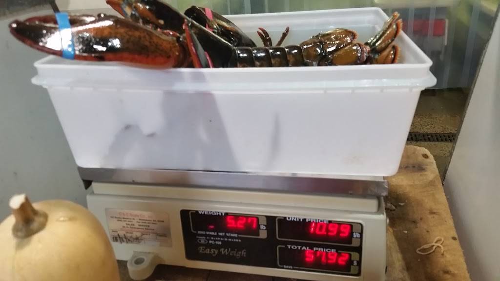 Taylor Lobster Co. | restaurant | 32 ME-236, Kittery, ME 03904, USA | 2074391350 OR +1 207-439-1350