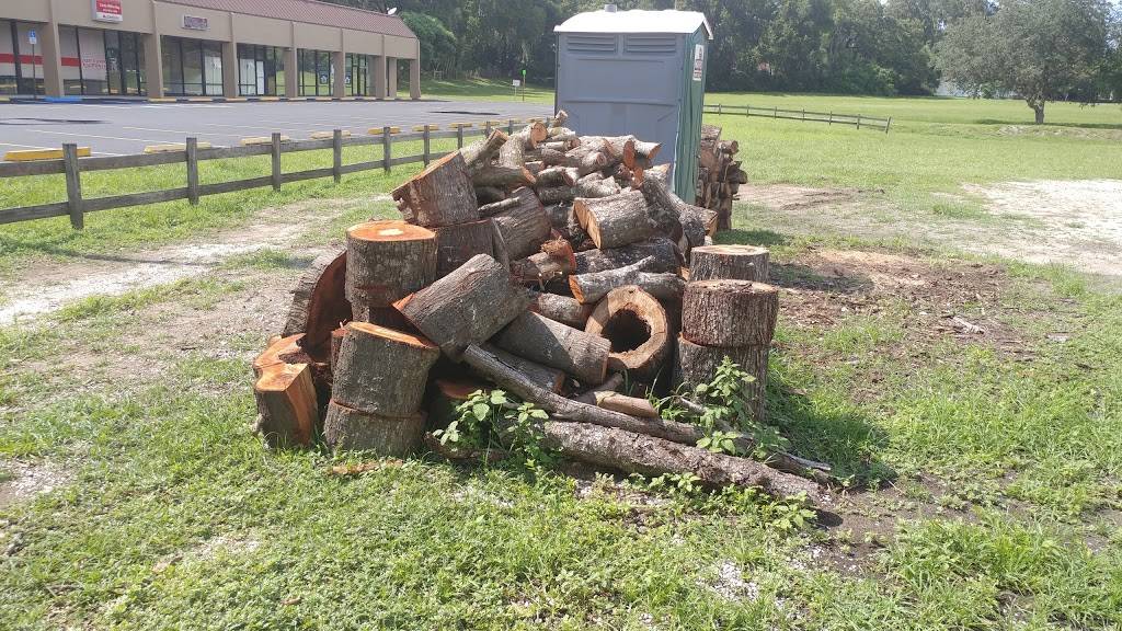 Sims Smoked Barbecue & Seafood | restaurant | 12008 E Dr Martin Luther King Jr Blvd, Seffner, FL 33584, USA | 8139221641 OR +1 813-922-1641