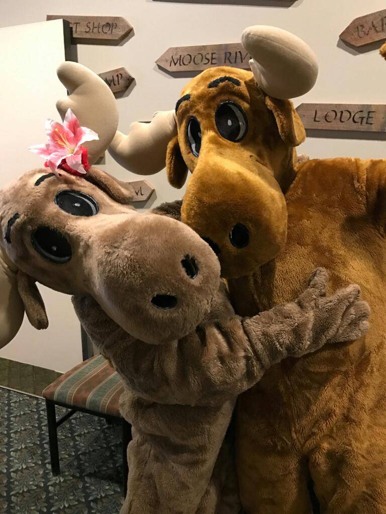 Moose River Restaurant | restaurant | 1777 Burrstone Rd, New Hartford, NY 13413, USA | 3157972131 OR +1 315-797-2131