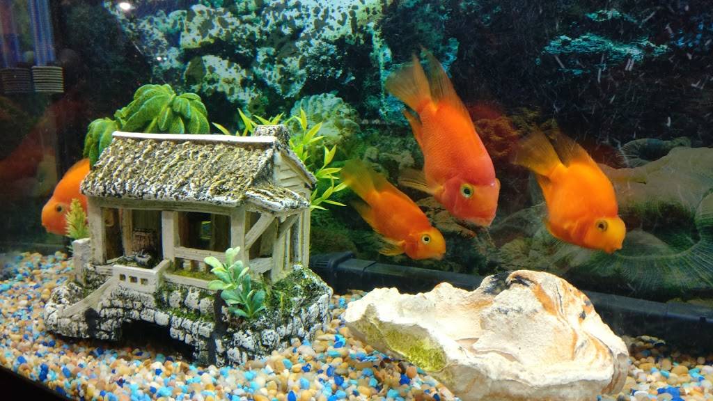 Osaka | restaurant | 2631 Southtown Dr, Bloomington, MN 55431, USA | 9528843633 OR +1 952-884-3633