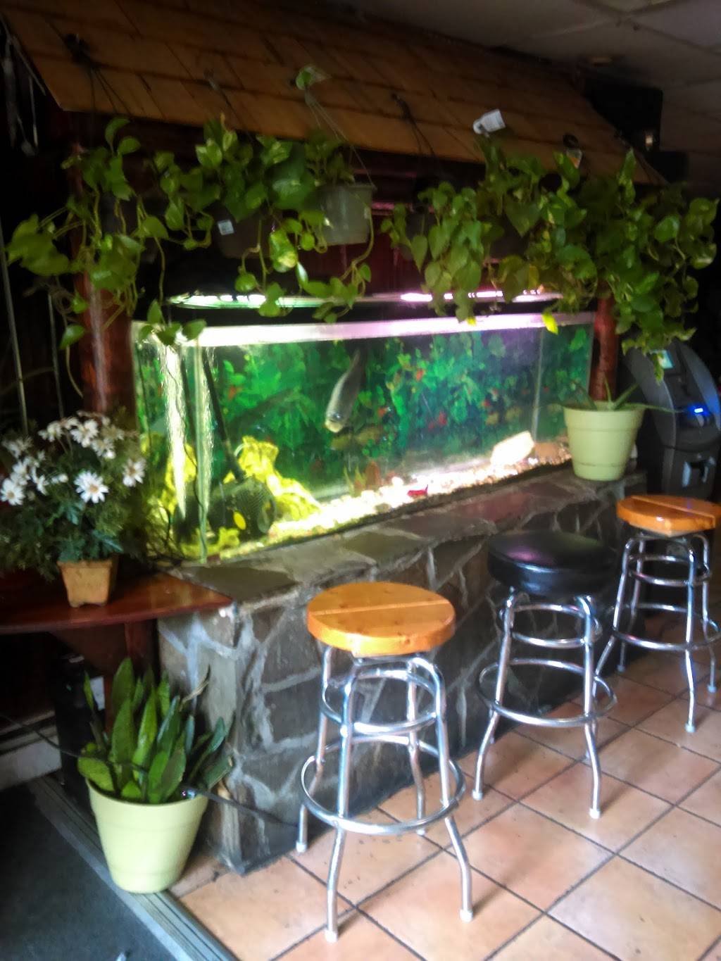 Tierras Tropicales | restaurant | 84 Croton Ave, Ossining, NY 10562, USA | 9149449314 OR +1 914-944-9314