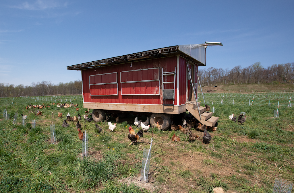 Ironbound Farm | restaurant | 360 Co Rd 579, Asbury, NJ 08802, USA | 9089404115 OR +1 908-940-4115