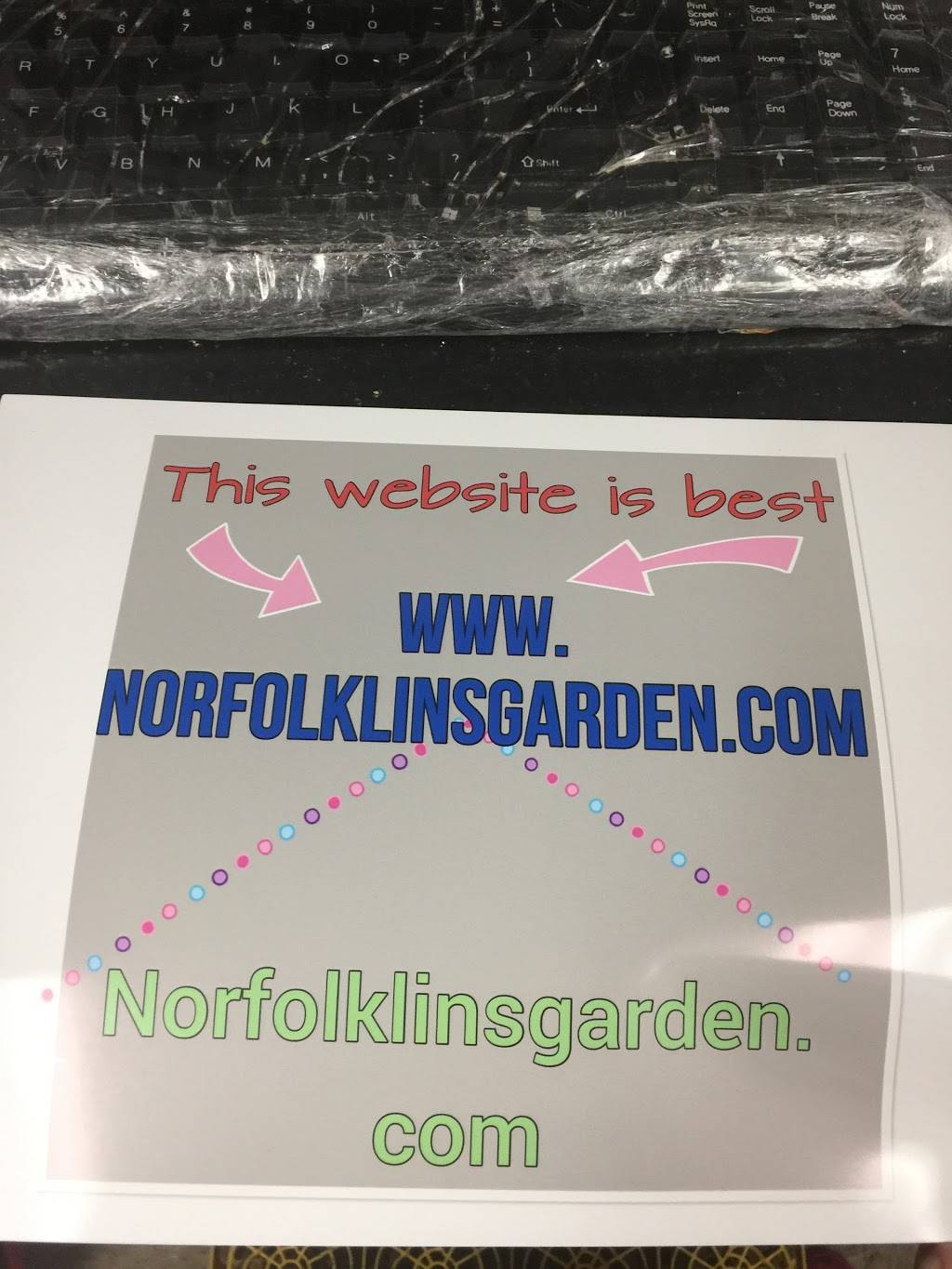 Lins Garden | restaurant | 3925 Hampton Blvd, Norfolk, VA 23508, USA | 7574234005 OR +1 757-423-4005