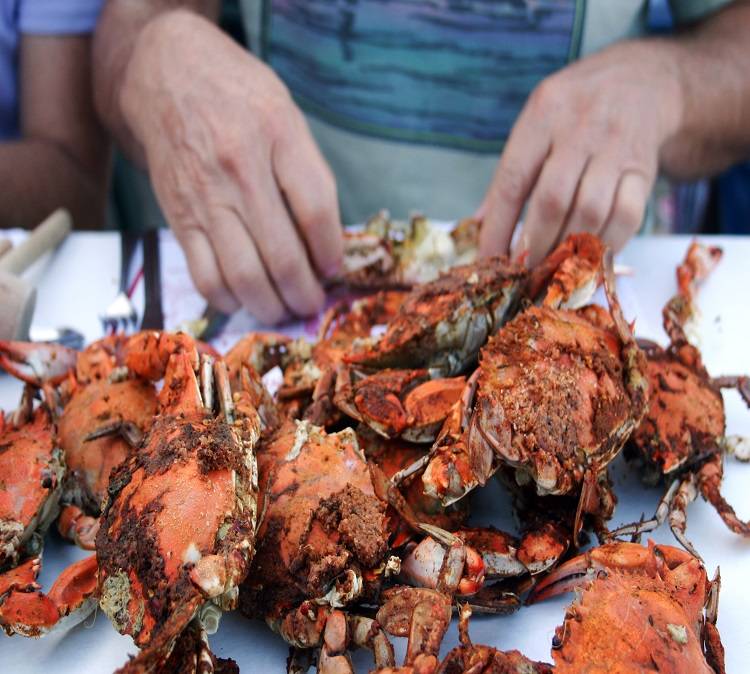 Chesapeake Crab Connection Co | restaurant | 300 S 3rd St, Oxford, PA 19363, USA | 6109327499 OR +1 610-932-7499