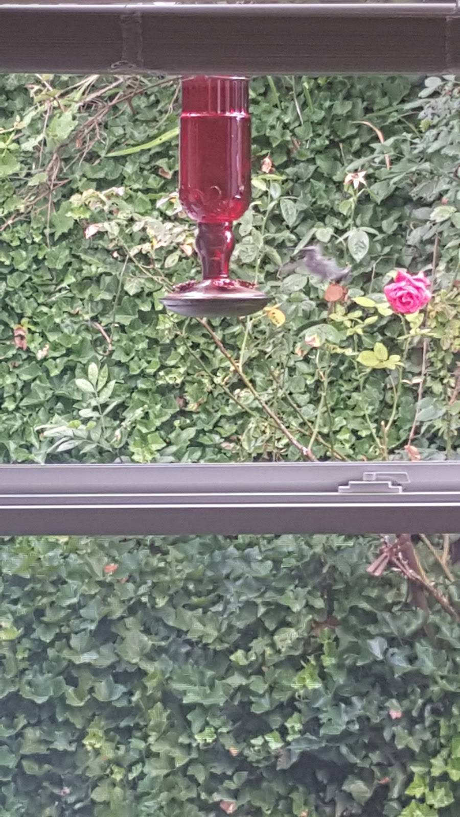 Subway | meal takeaway | 22205 Meridian E, Graham, WA 98338, USA | 2538752077 OR +1 253-875-2077