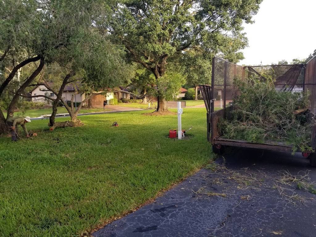 La Viva | restaurant | 700 Dorado Ct, Brandon, FL 33511, USA | 8136550527 OR +1 813-655-0527