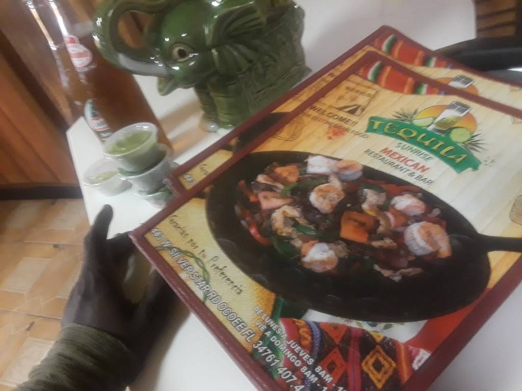 Taqueria Tequilas | restaurant | 210 Hennis Rd, Winter Garden, FL 34787, USA | 4073479522 OR +1 407-347-9522