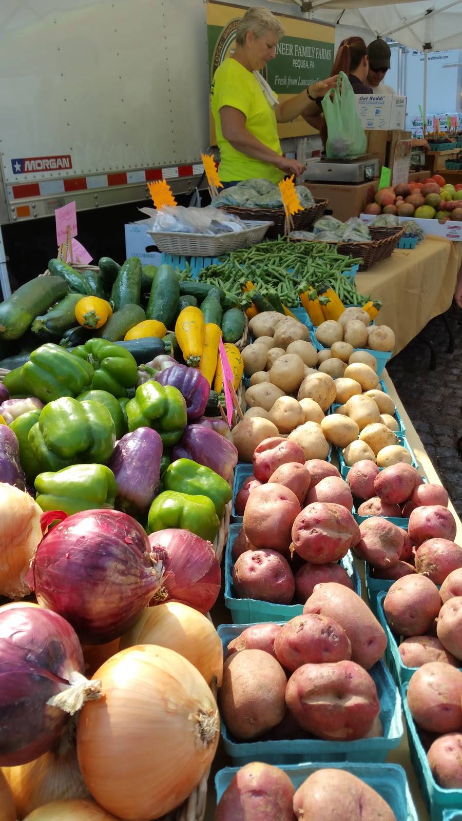 The Mermaid Inn | restaurant | 7673 Germantown Ave, Philadelphia, PA 19118, USA | 2152479797 OR +1 215-247-9797