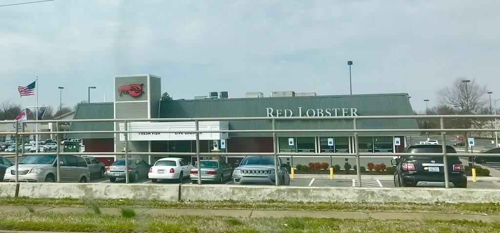Red Lobster | restaurant | 5151 Hinkleville Rd, Paducah, KY 42001, USA | 2704435804 OR +1 270-443-5804