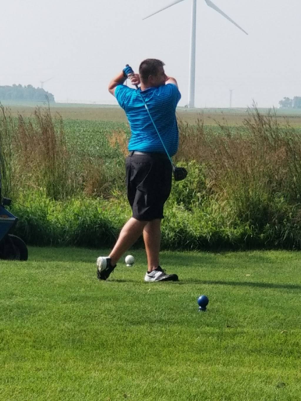 Benton County Country Club & Golf Course | restaurant | 602 W 4th St, Fowler, IN 47944, USA | 7658841864 OR +1 765-884-1864