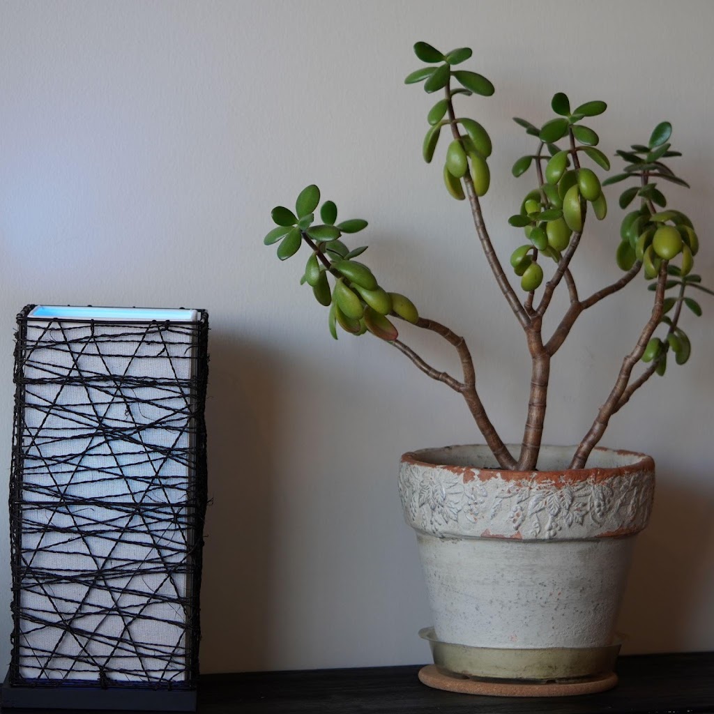 Sacred Waters Kava Bar | cafe | 30111 Lorain Rd, North Olmsted, OH 44070, USA | 4402903377 OR +1 440-290-3377